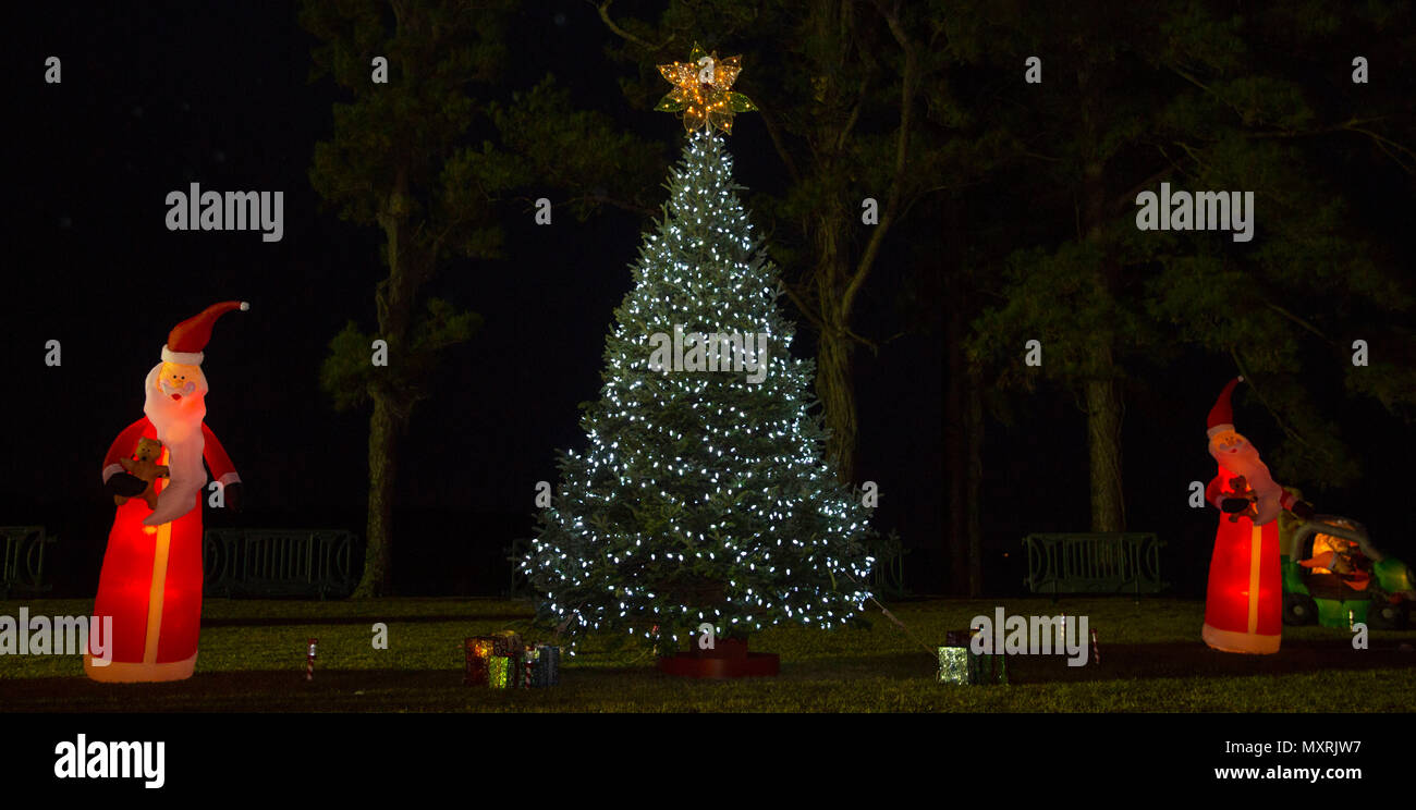 A Christmas Tree Is Displayed With Other Holiday Decorations