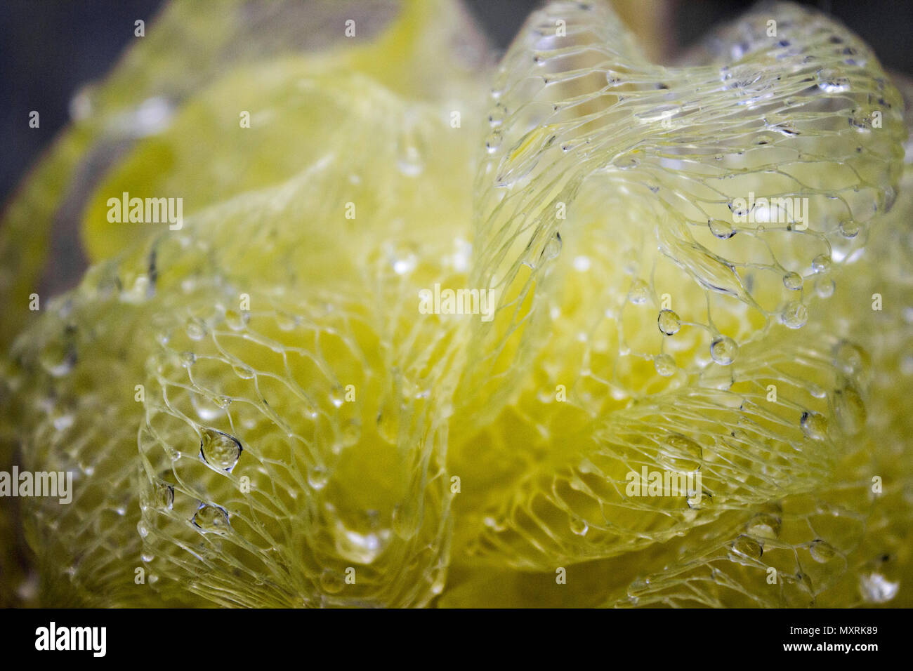 Fishing net with yellow floats dries on the pier, close-up