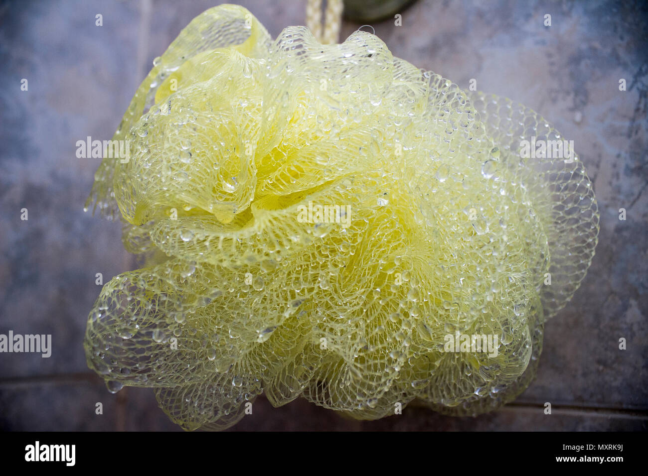 Sponge ball hires stock photography and images Alamy
