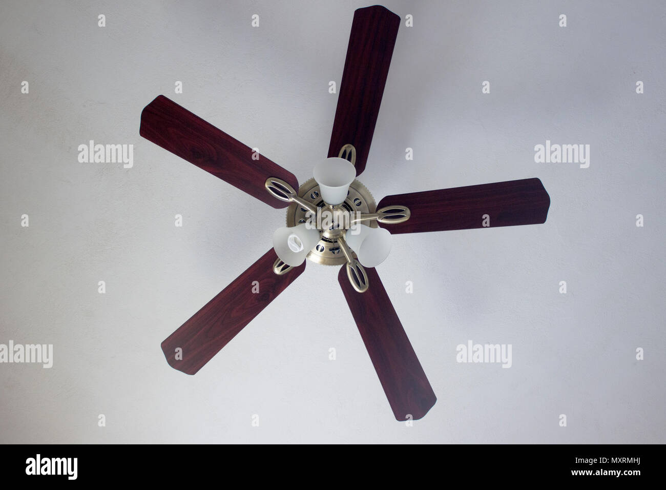 Classic polished brass ceiling fan with light in full stop. Stock Photo