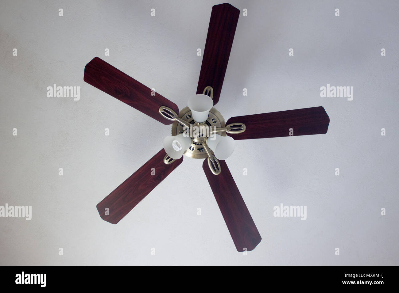 Classic Polished Brass Ceiling Fan With Light In Full Stop