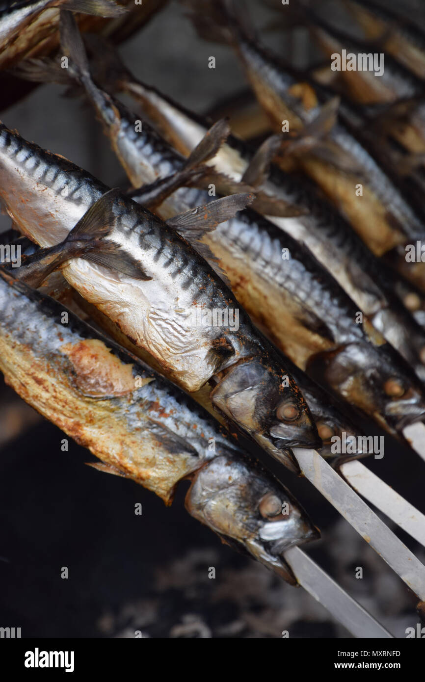 macro shot of grilled mackerels on metal skewers Stock Photo