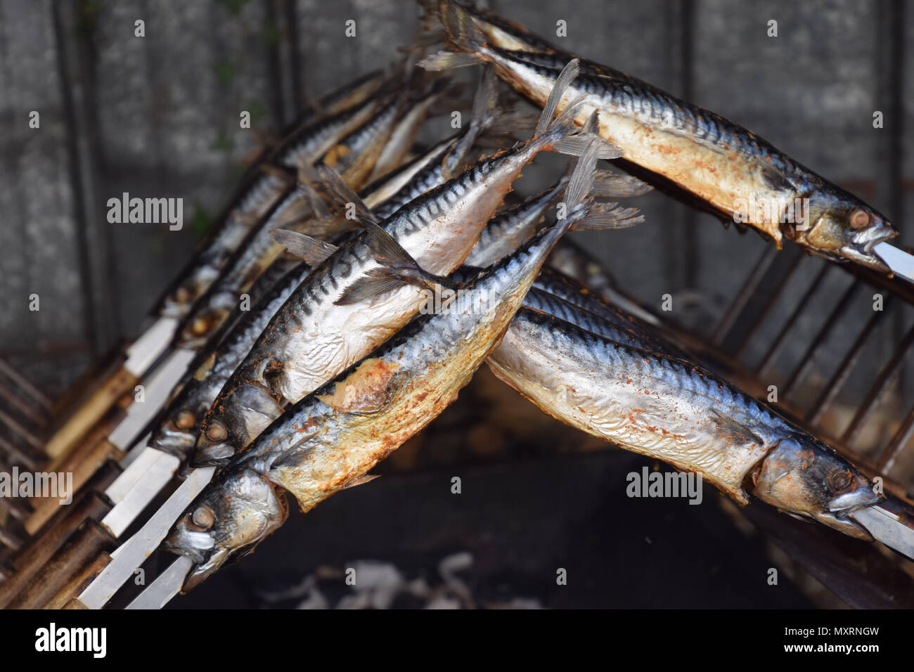 grilled tasty mackerel Stock Photo