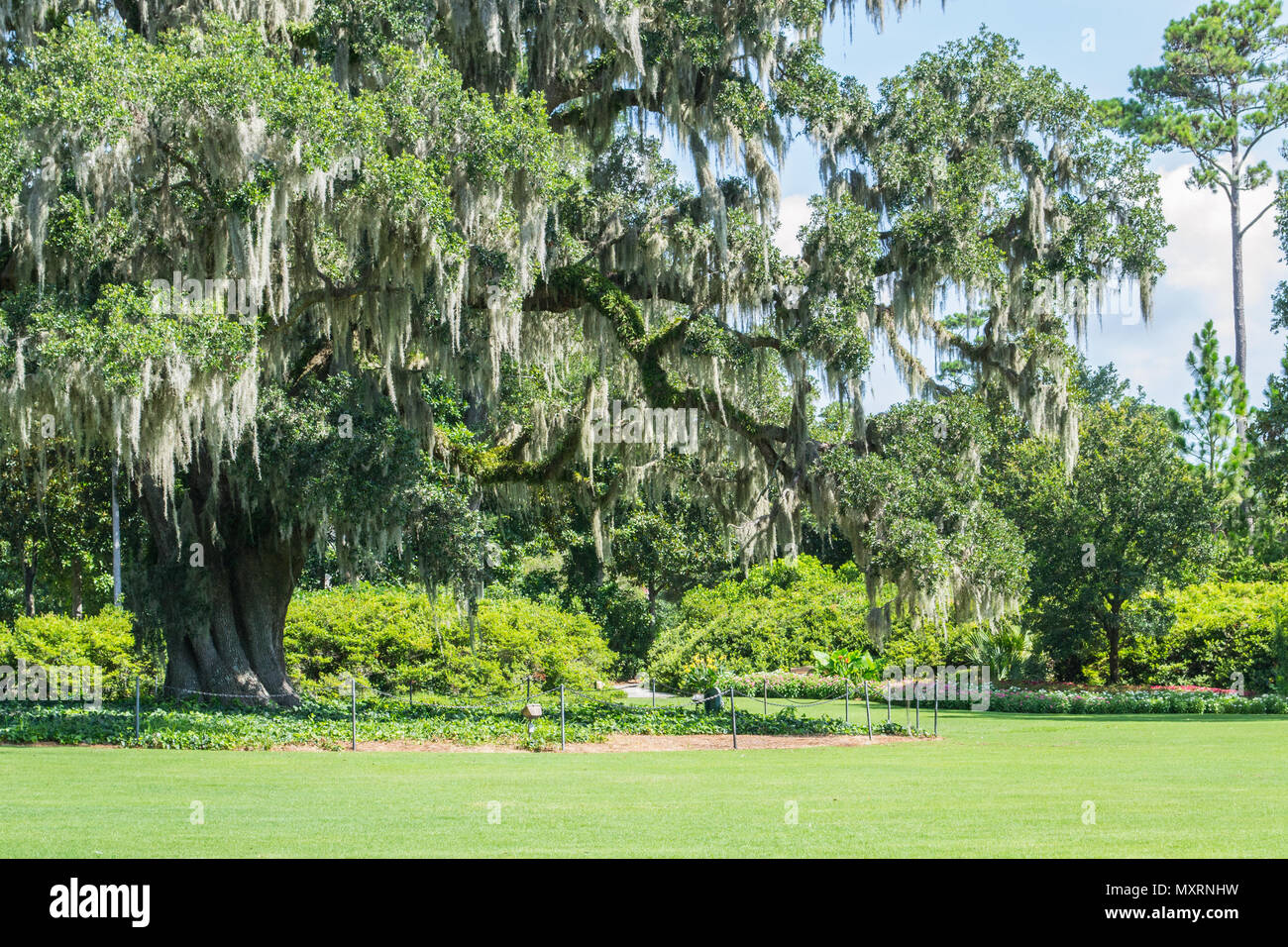 Airlie Gardens In Wilmington North Carolina Shows Off The Beauty