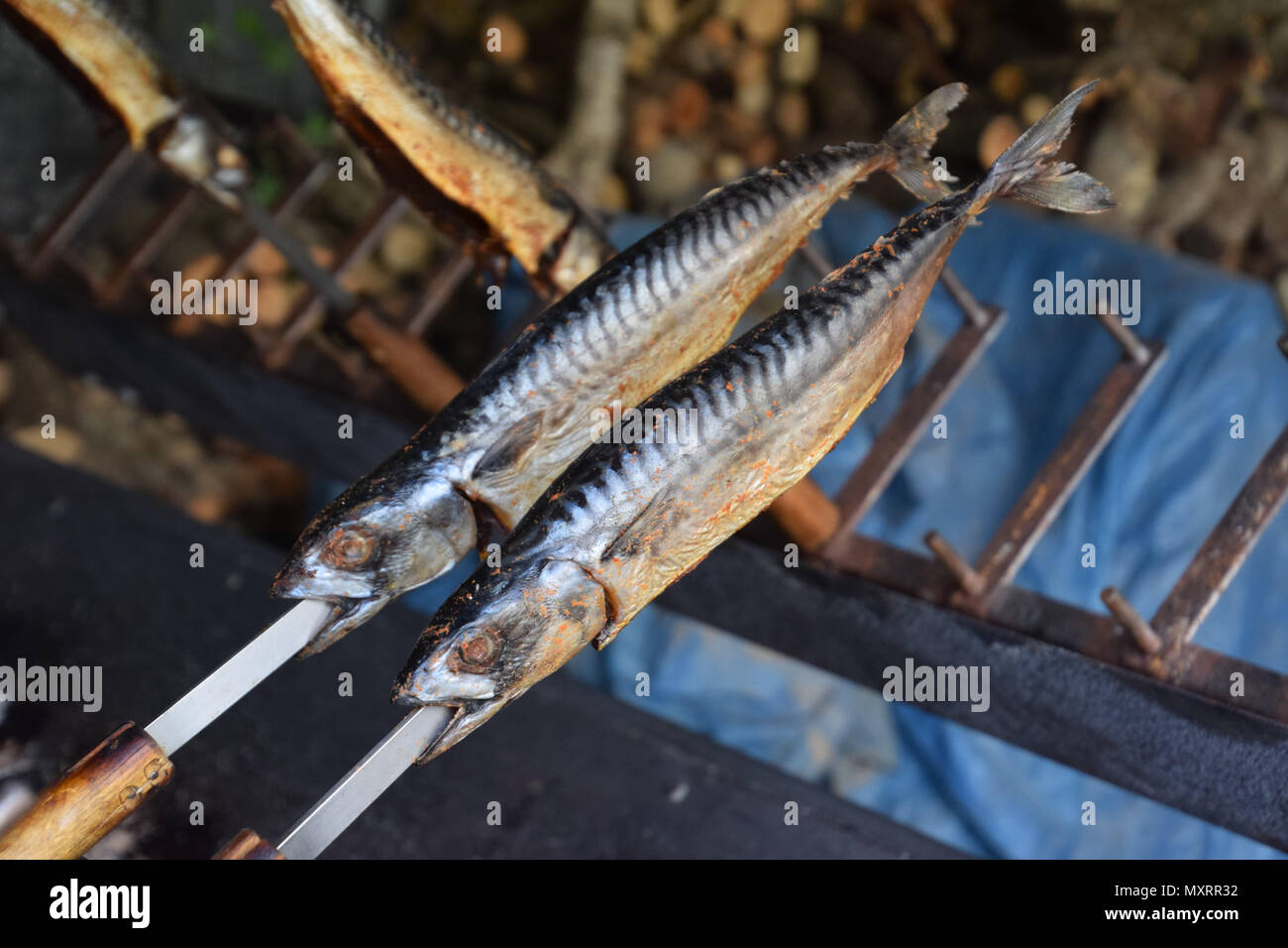 boston mackerel on grill with metal skewers Stock Photo Alamy