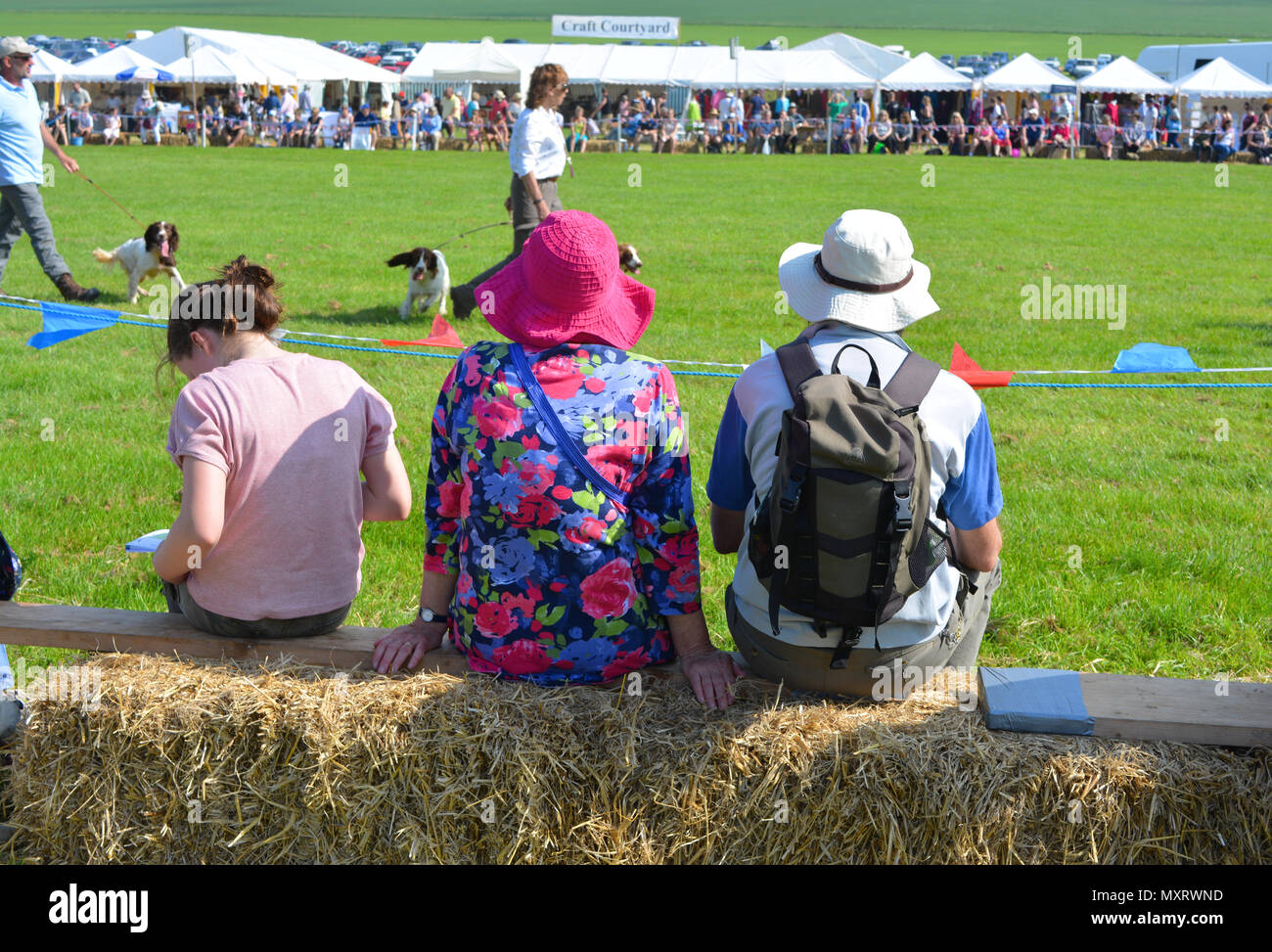 People sitting on  hay bales, watching the dog shows at the annual Sherborne Castle Country Fair, Sherborne, Dorset, England Stock Photo