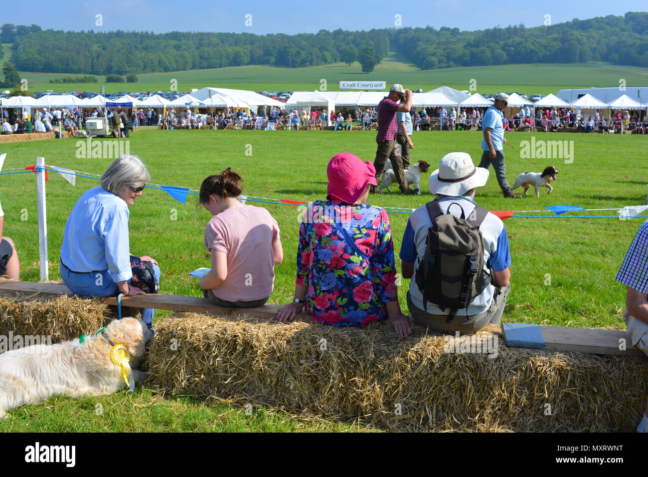 People sitting on  hay bales, watching the dog shows at the annual Sherborne Castle Country Fair, Sherborne, Dorset, England Stock Photo
