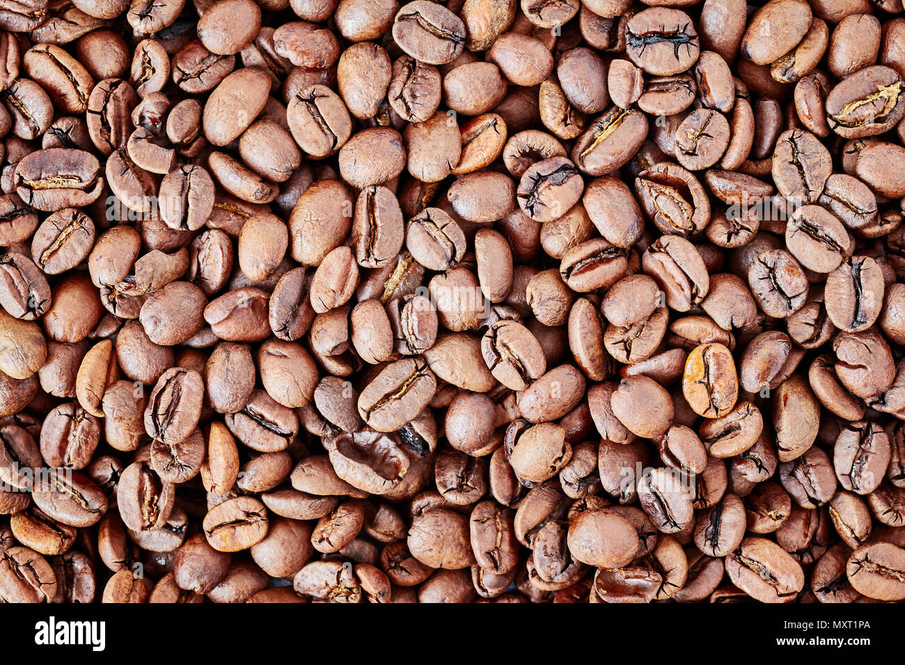 Freshly roasted coffee beans background. Stock Photo