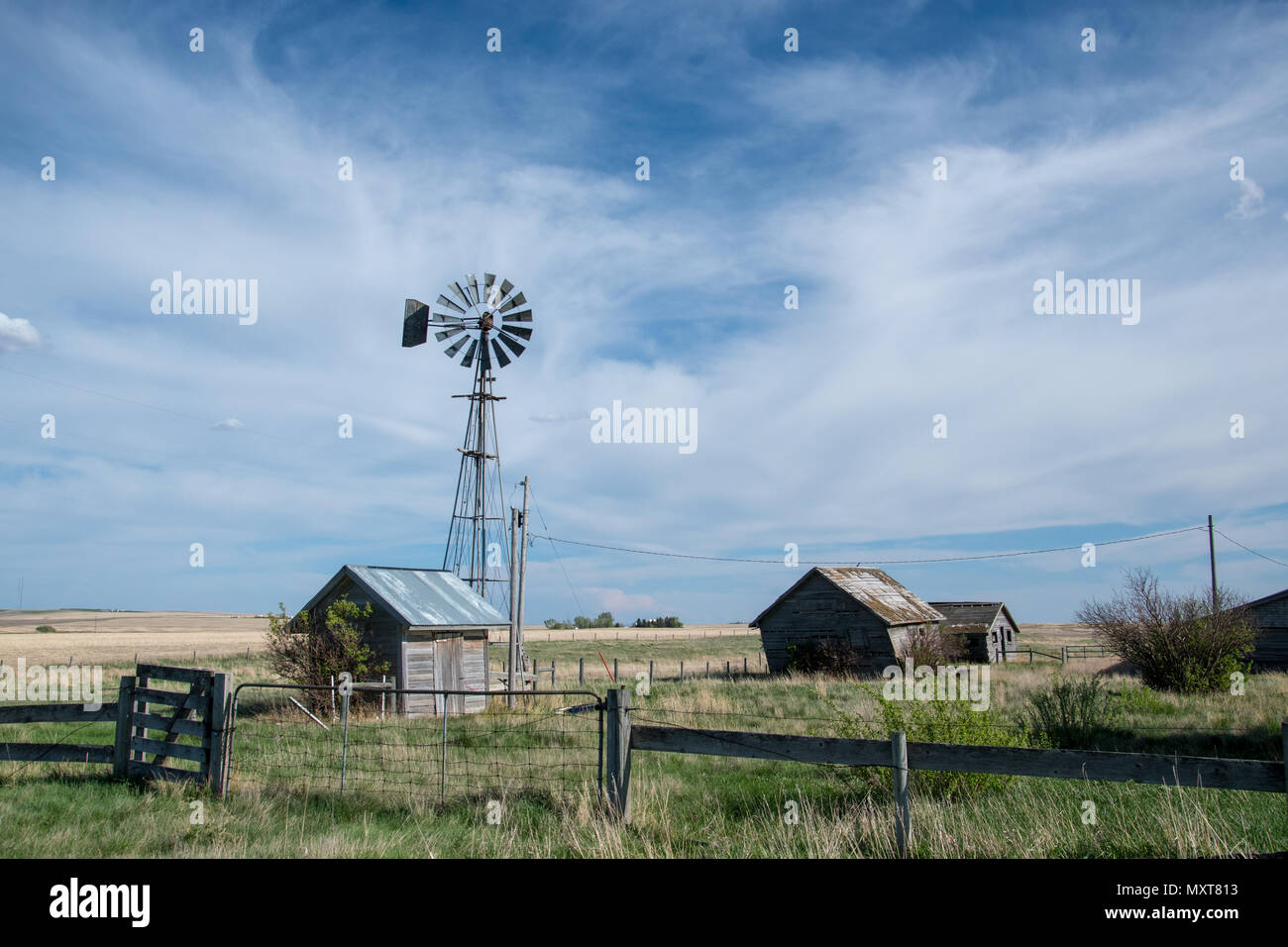 Abandoned Prairie Homestead near Carseland, Alberta, Canada Stock Photo
