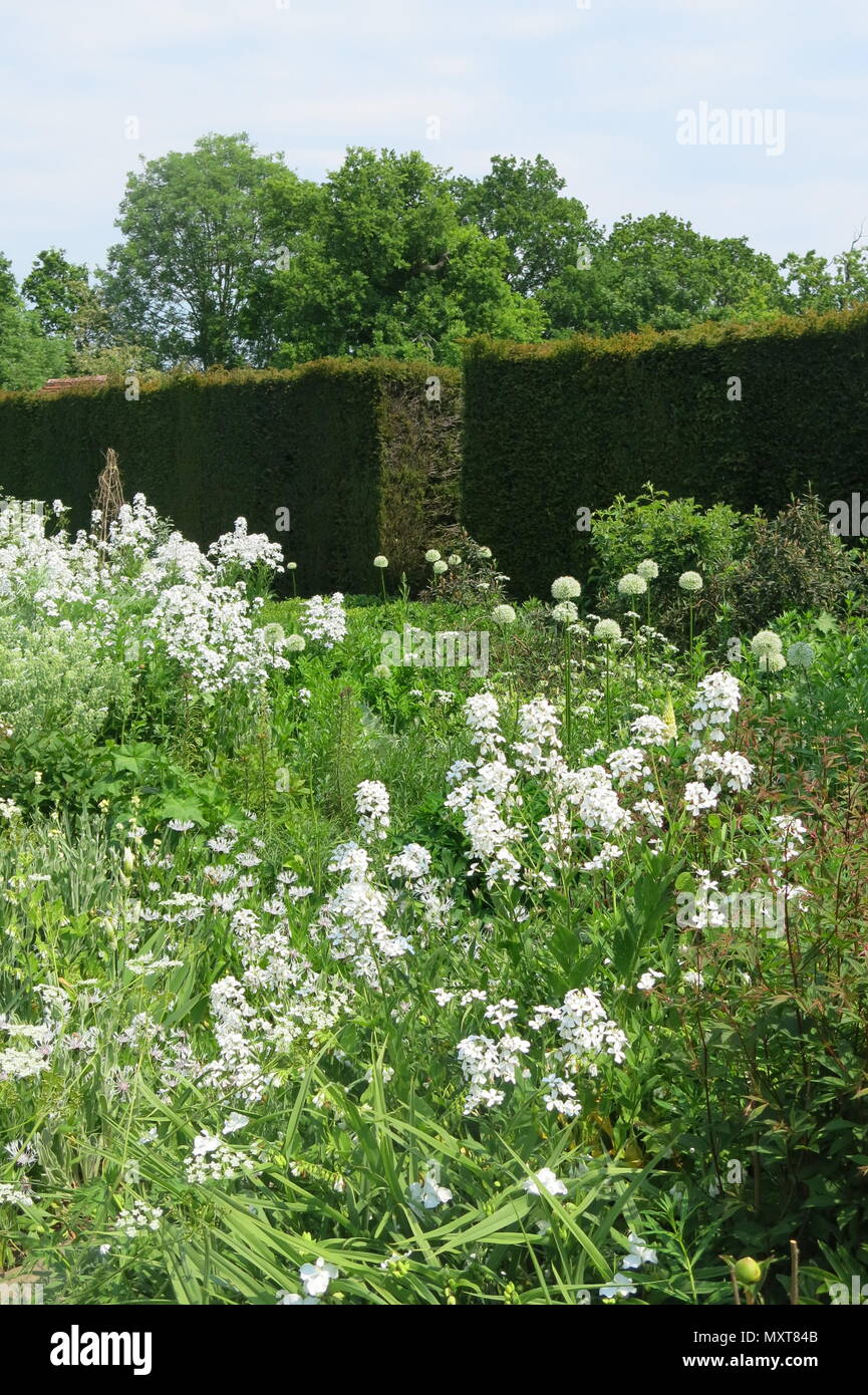 A view of the White Garden at Sissinghurst Castle, the home of plantswoman and author Vita Sackville-West Stock Photo