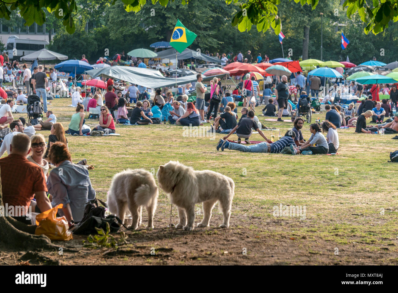Thai food market in public park , Preussenpark, Berlin, Germany Thai