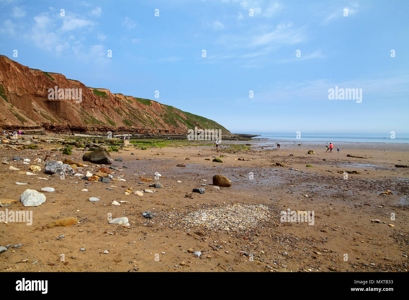 Filey North Yorkshire UK June 1st 2018 view of Filey brigg and carr naze from the beach