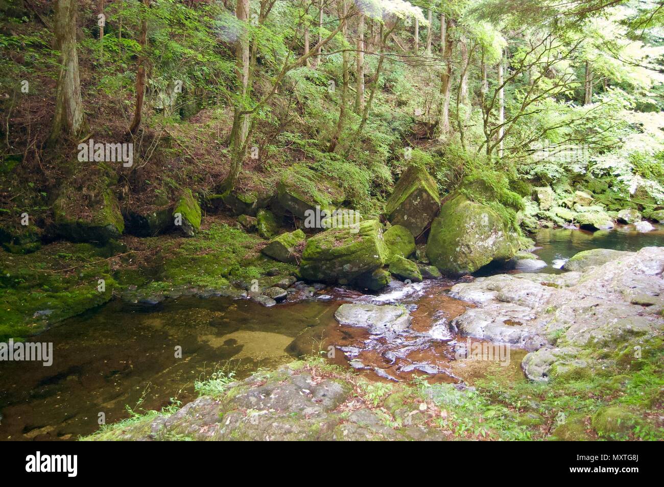 Akame 48 Waterfalls: Mysterious hiking trails, giant trees & moss covered rock formations, untouched nature, lush vegetation & cascading waterfalls Stock Photo