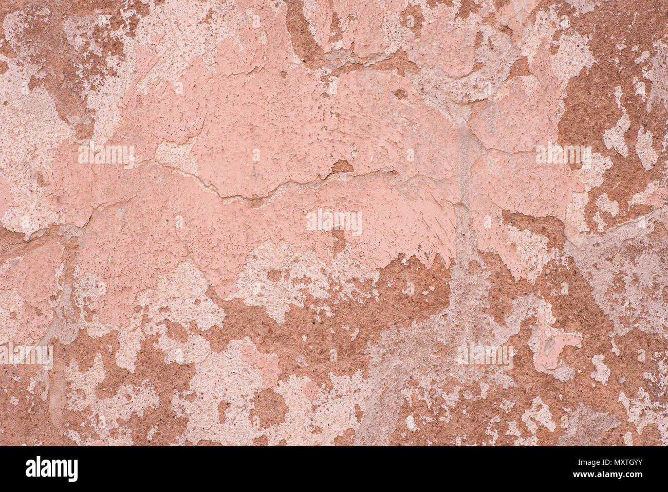 pink color old weathered plaster wall background texture Stock Photo