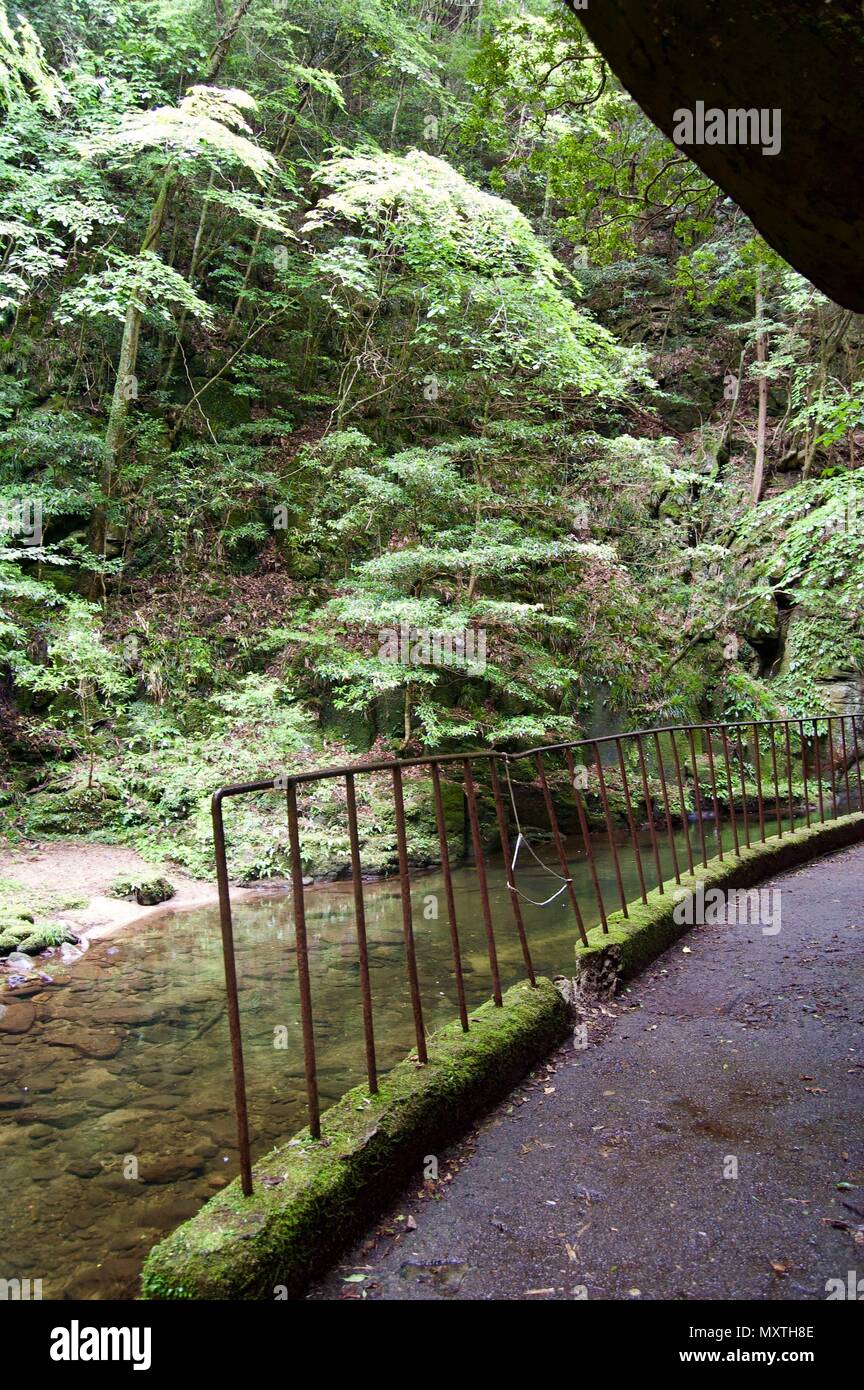 Akame 48 Waterfalls: Mysterious hiking trails, giant trees, untouched nature, moss covered rocks, lush vegetation and cascading waterfalls Stock Photo