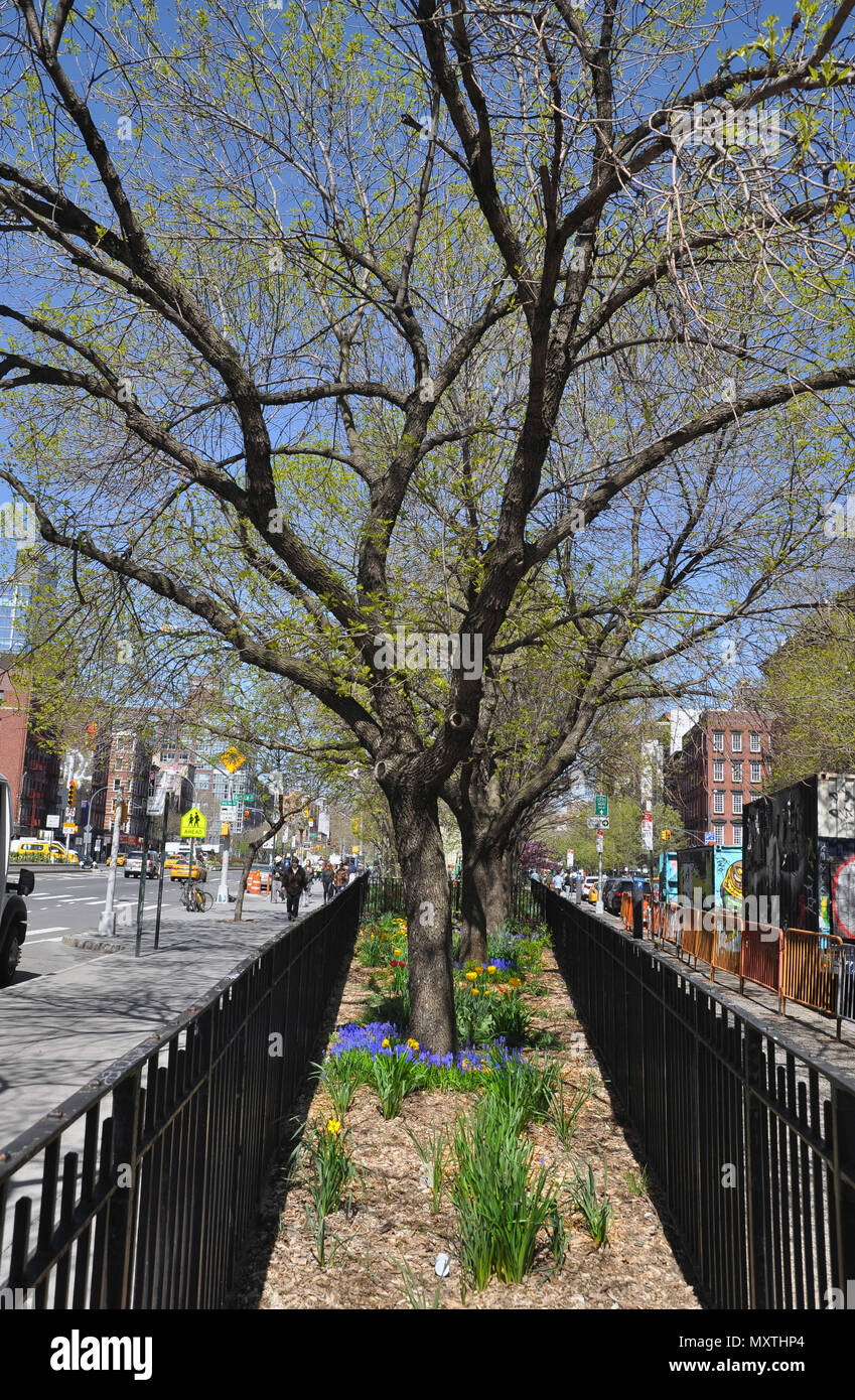 Tree along E Houston Street, Manhattan, New York Stock Photo