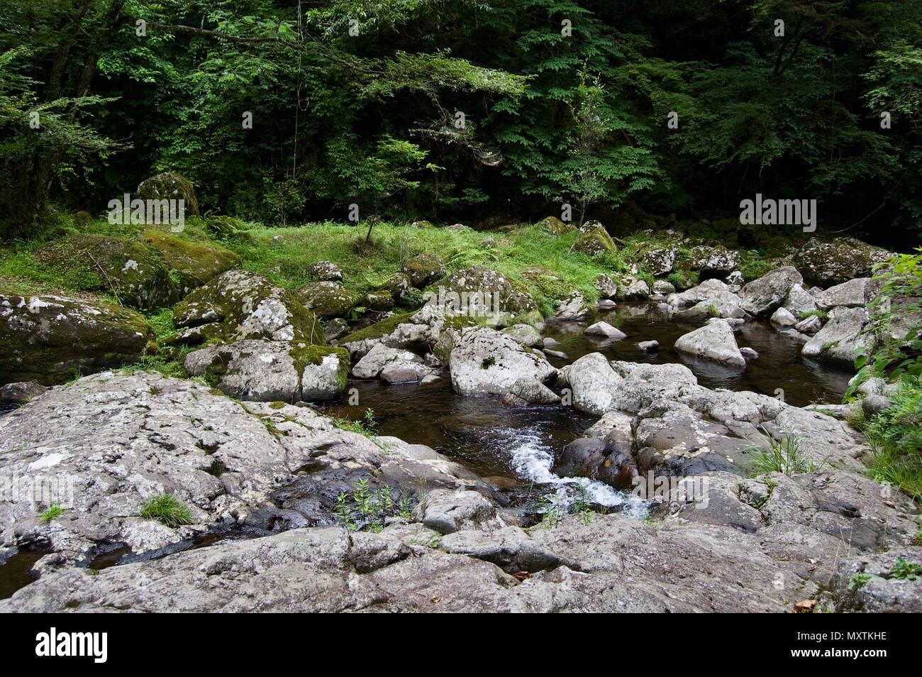 Akame 48 Waterfalls: Mysterious scenery with giant trees & huge moss covered rock formations, untouched nature, lush green vegetation, cascading water Stock Photo