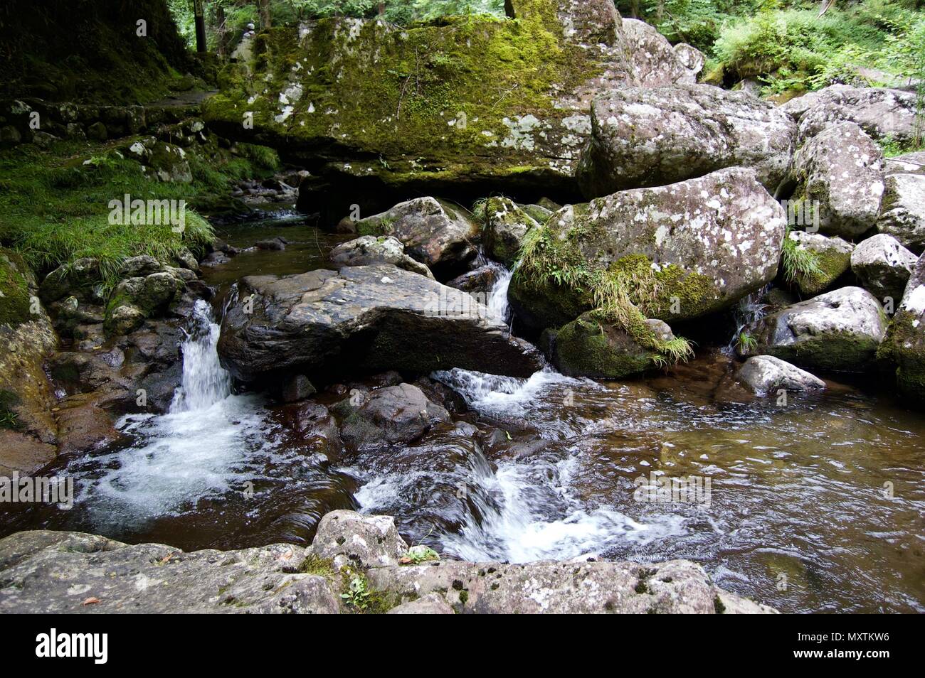 Akame 48 Waterfalls: Mysterious scenery with giant trees & huge moss covered rock formations, untouched nature, lush green vegetation, cascading water Stock Photo