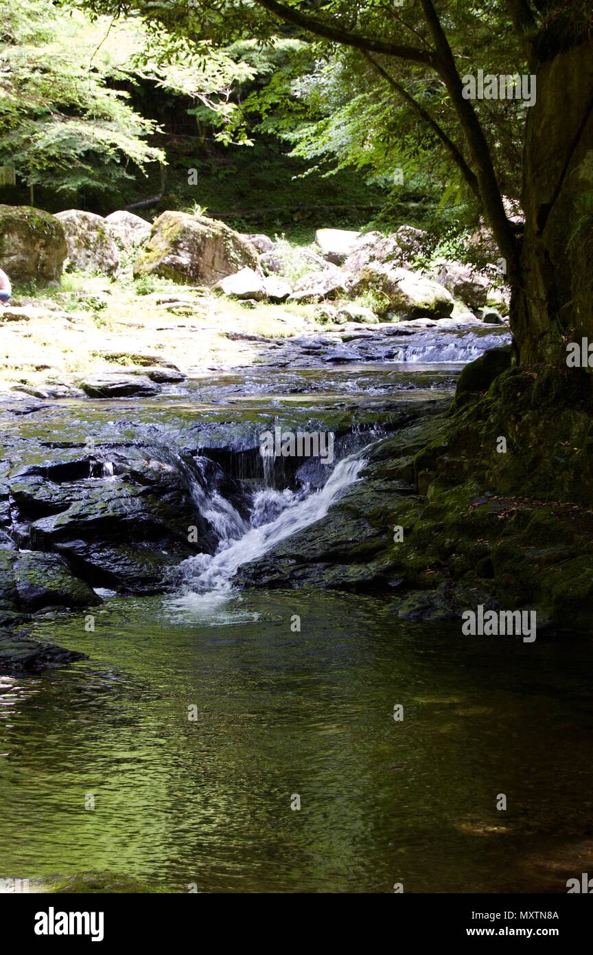 Akame 48 Waterfalls: Mysterious scenery with giant trees & huge moss covered rock formations, untouched nature, lush green vegetation, cascading water Stock Photo