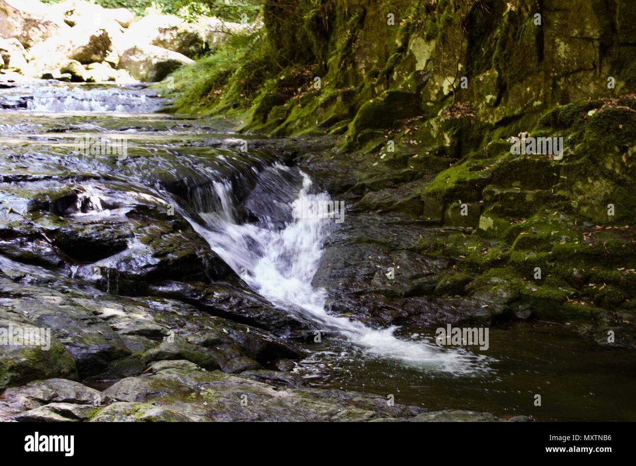 Akame 48 Waterfalls: Mysterious scenery with giant trees & huge moss covered rock formations, untouched nature, lush green vegetation, cascading water Stock Photo