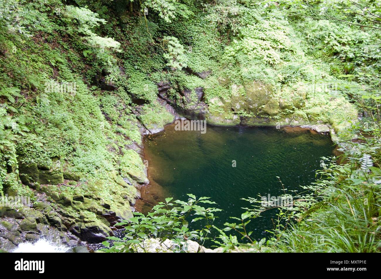 Akame 48 Waterfalls: Mysterious scenery with giant trees & huge moss covered rock formations, untouched nature, lush green vegetation, cascading water Stock Photo