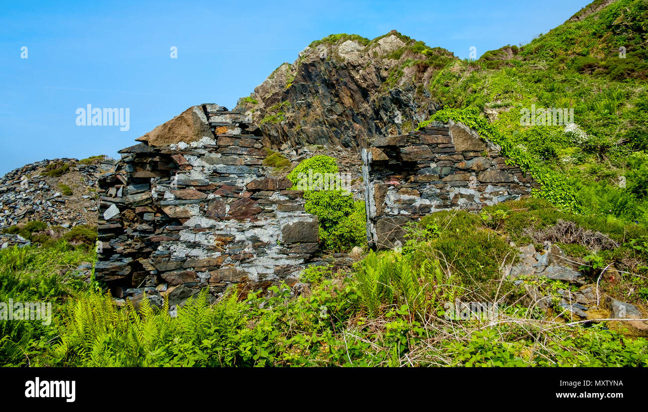 A Ruined Cottage Amongst The Slate Quarry At Easdale Island, The ...