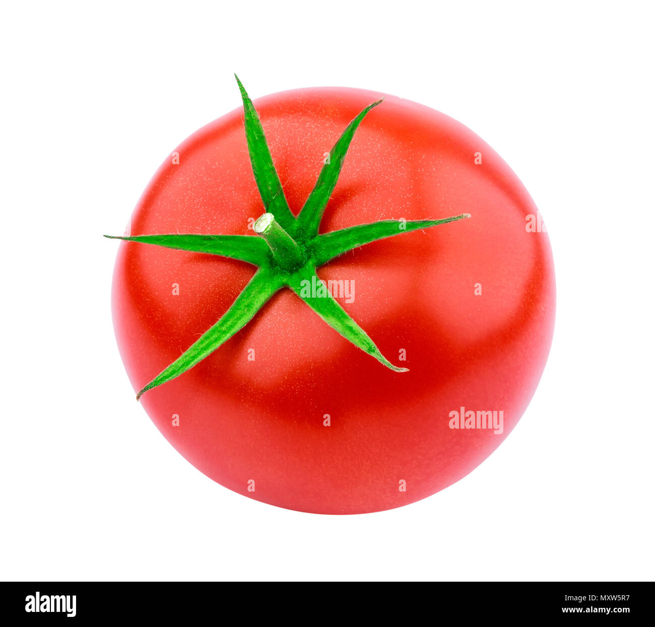 One whole tomato isolated isolated on white background with clipping path Stock Photo