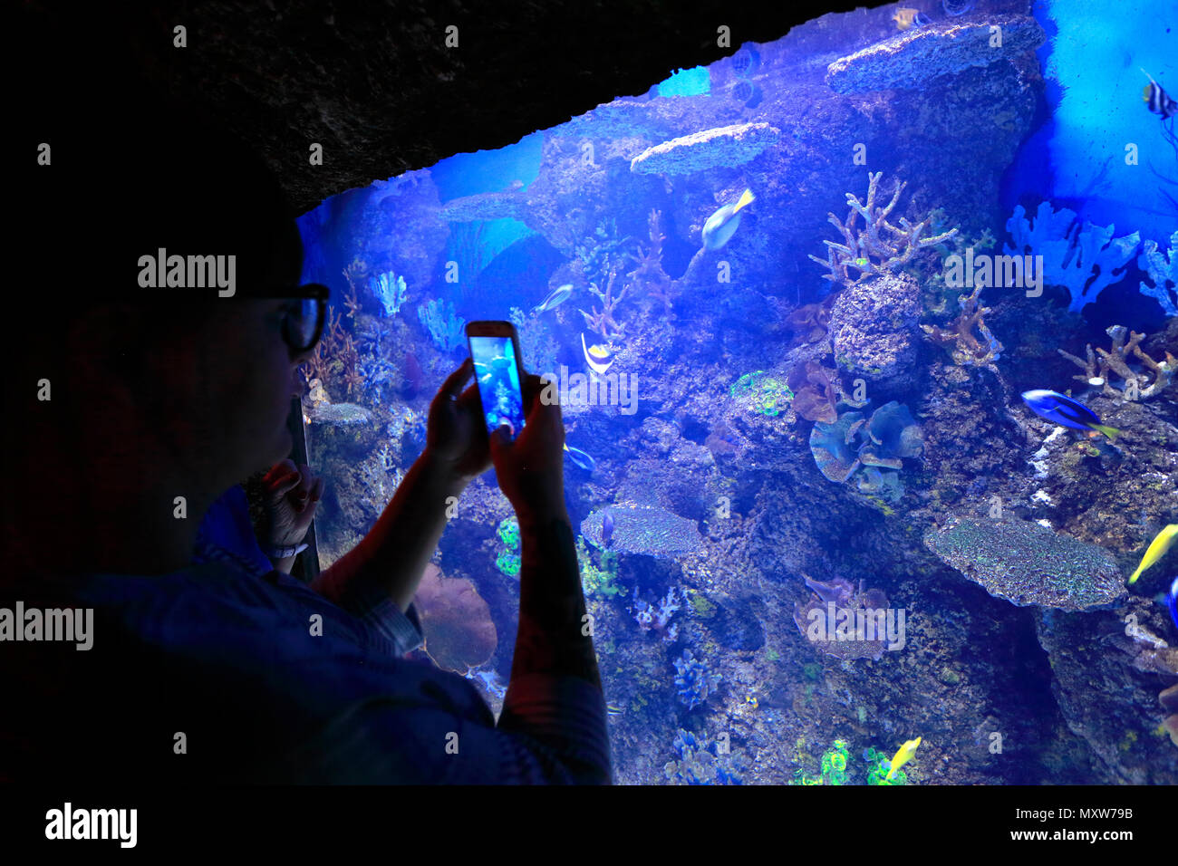 The National Aquarium of Malta, Triq ItTrunciera, St. Paul's Bay