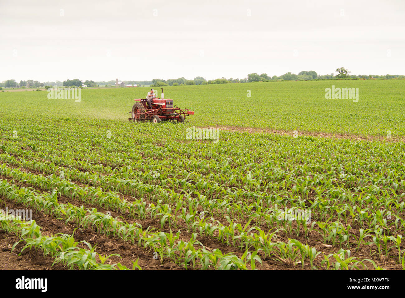 Farmer in corn field usa hi-res stock photography and images - Alamy