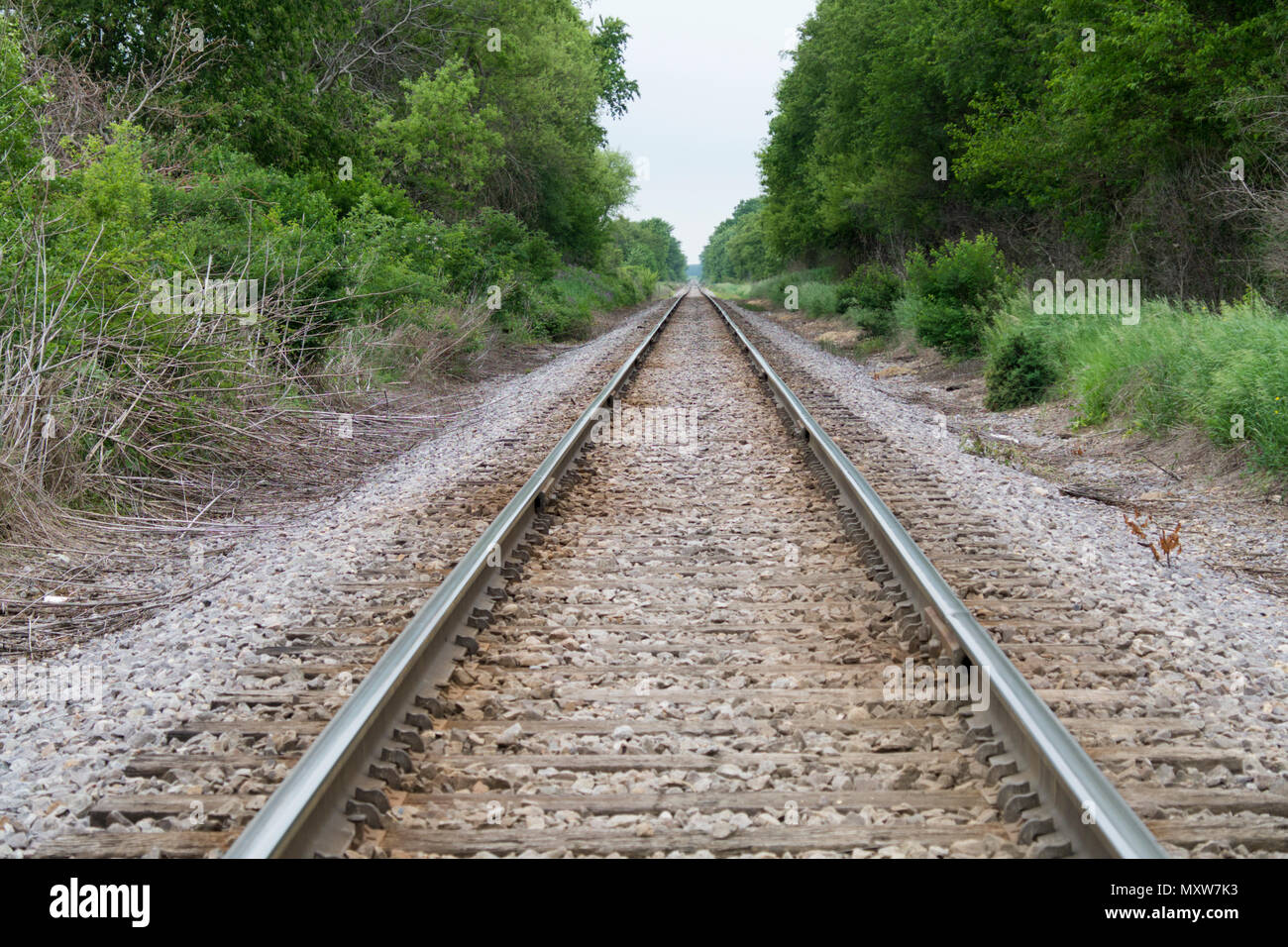 Railroad tracks in northern Illionis near Richmond Stock Photo Alamy
