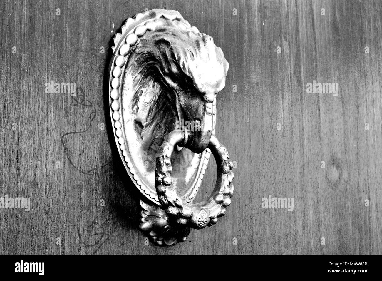 Close-up of brass knocker depicting a dragon Stock Photo