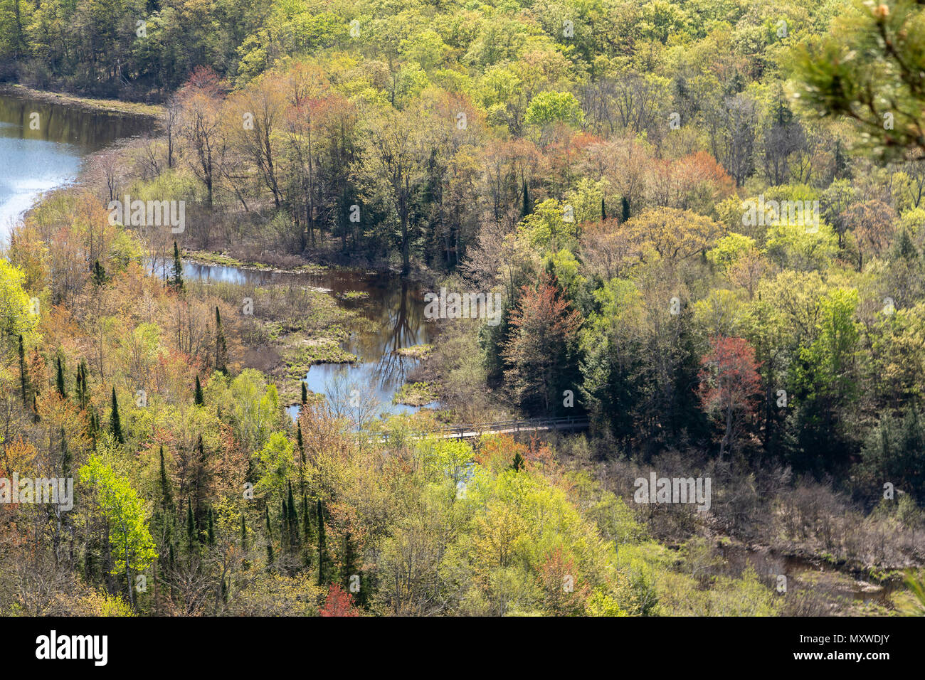 Ontonagon, Michigan - The Big Carp River, as it flows out of Lake of the Cluds, in Porcupine Mountains Wilderness State Park. A foot bridge carries th Stock Photo
