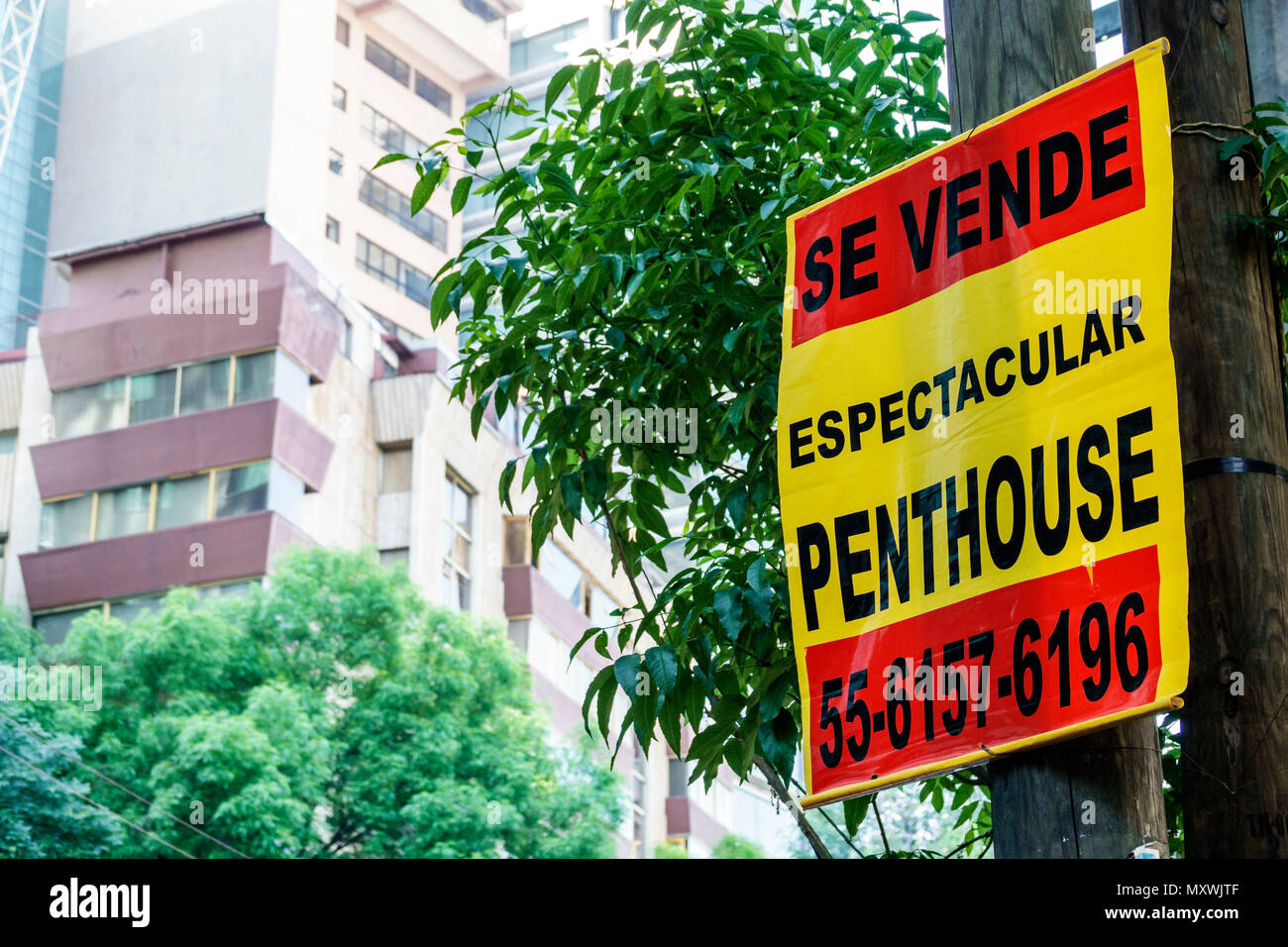 Polanco, upscale neighborhood, Mexico City, Mexico Stock Photo - Alamy