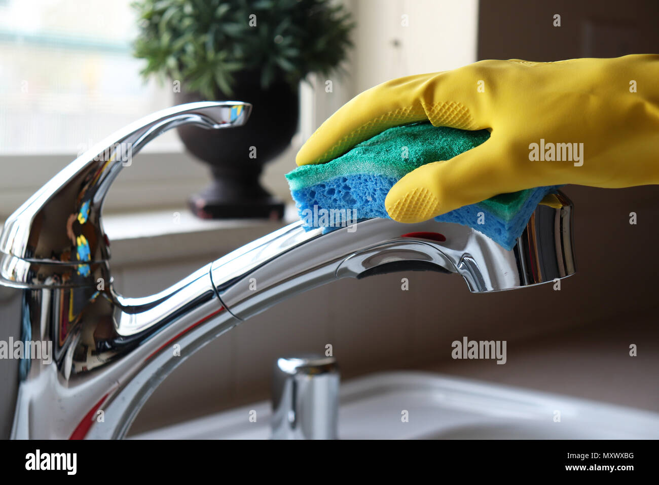 Cleaning the kitchen faucet Stock Photo