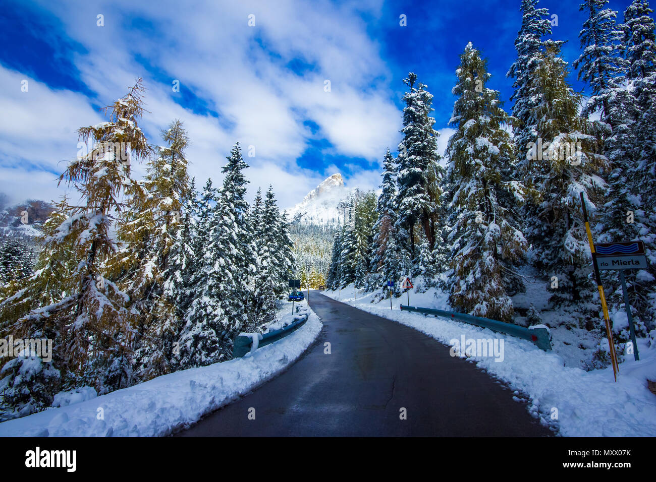 Winter road and trees with snow and alps landscape, Dolomity, Italy Stock Photo