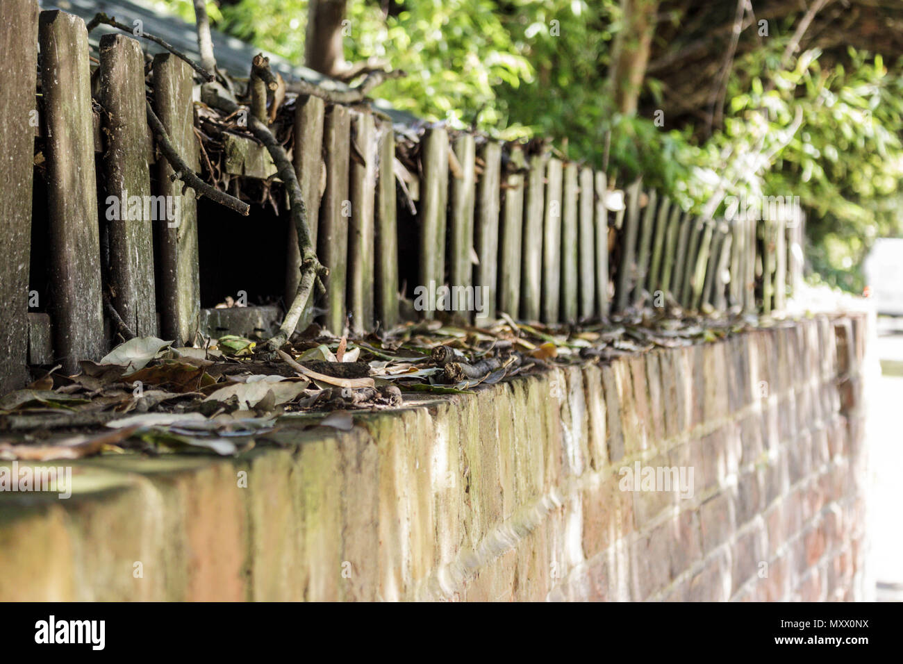 Street scene in a regency town in the UK. Image showing buildings, walls, shops, plants. Urban image. Stock Photo