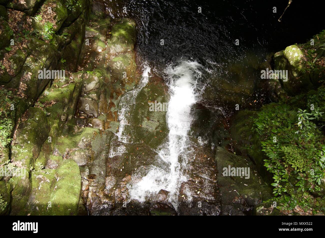 Akame 48 Waterfalls: Mysterious scenery with giant trees & huge moss covered rock formations, untouched nature, lush green vegetation, cascading water Stock Photo