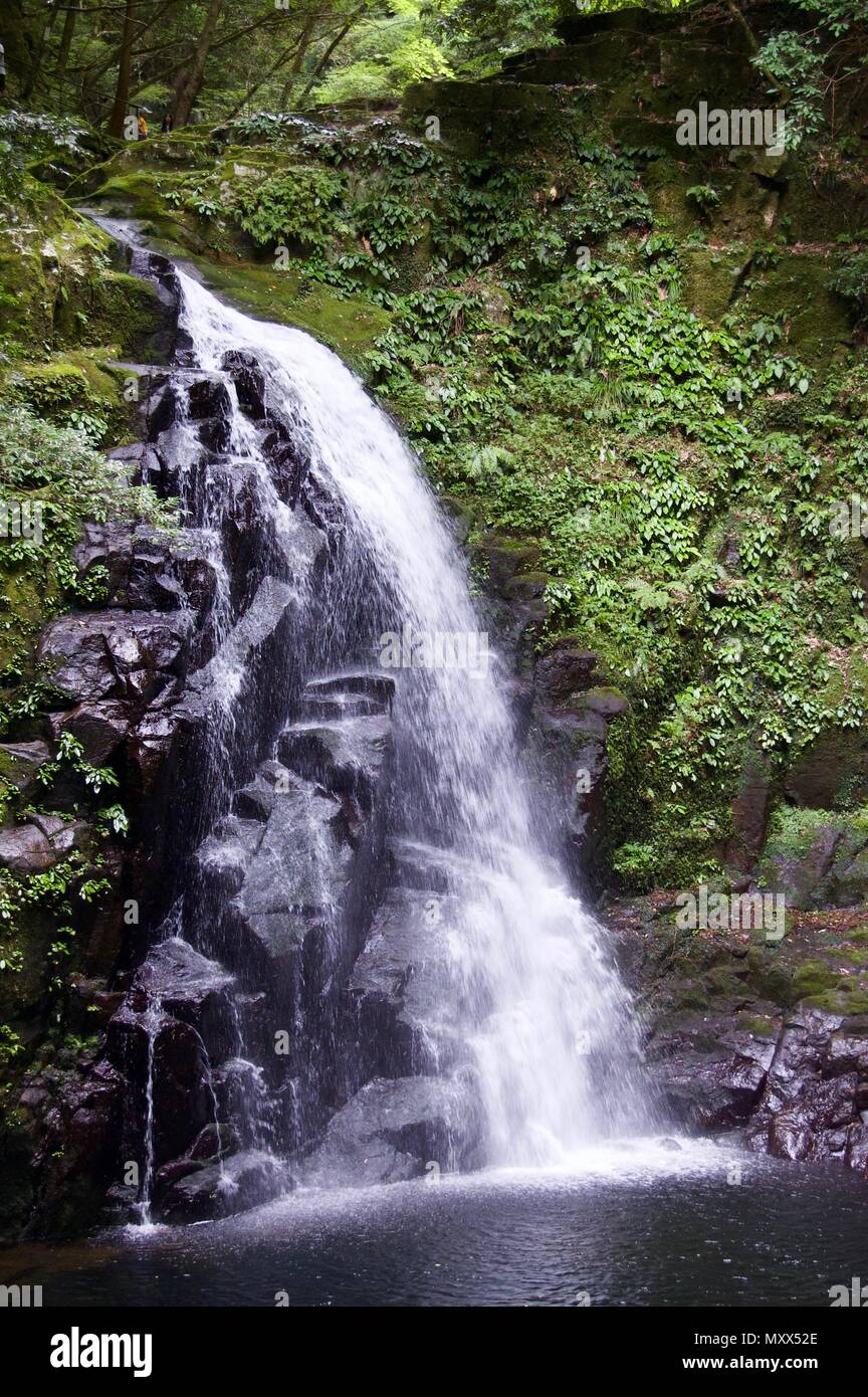 Akame 48 Waterfalls: Mysterious scenery with giant trees & huge moss covered rock formations, untouched nature, lush green vegetation, cascading water Stock Photo