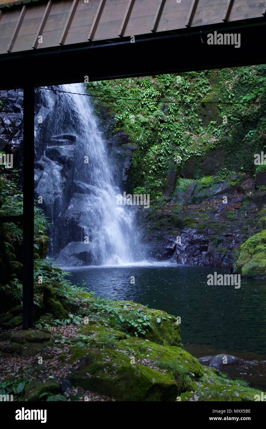 Akame 48 Waterfalls: Mysterious hiking trails, giant trees & moss covered rock formations, untouched nature, lush vegetation & cascading waterfalls Stock Photo