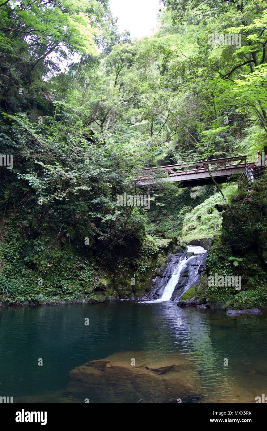 Akame 48 Waterfalls: Mysterious scenery with giant trees & huge moss covered rock formations, untouched nature, lush green vegetation, cascading water Stock Photo