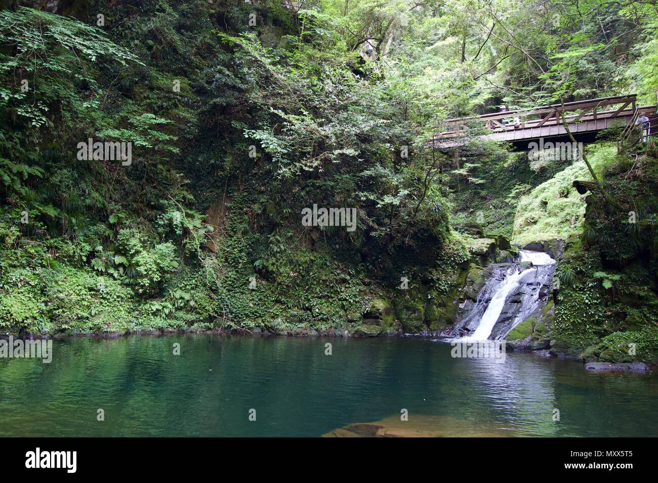 Akame 48 Waterfalls: Mysterious hiking trails, giant trees & moss covered rock formations, untouched nature, lush vegetation & cascading waterfalls Stock Photo