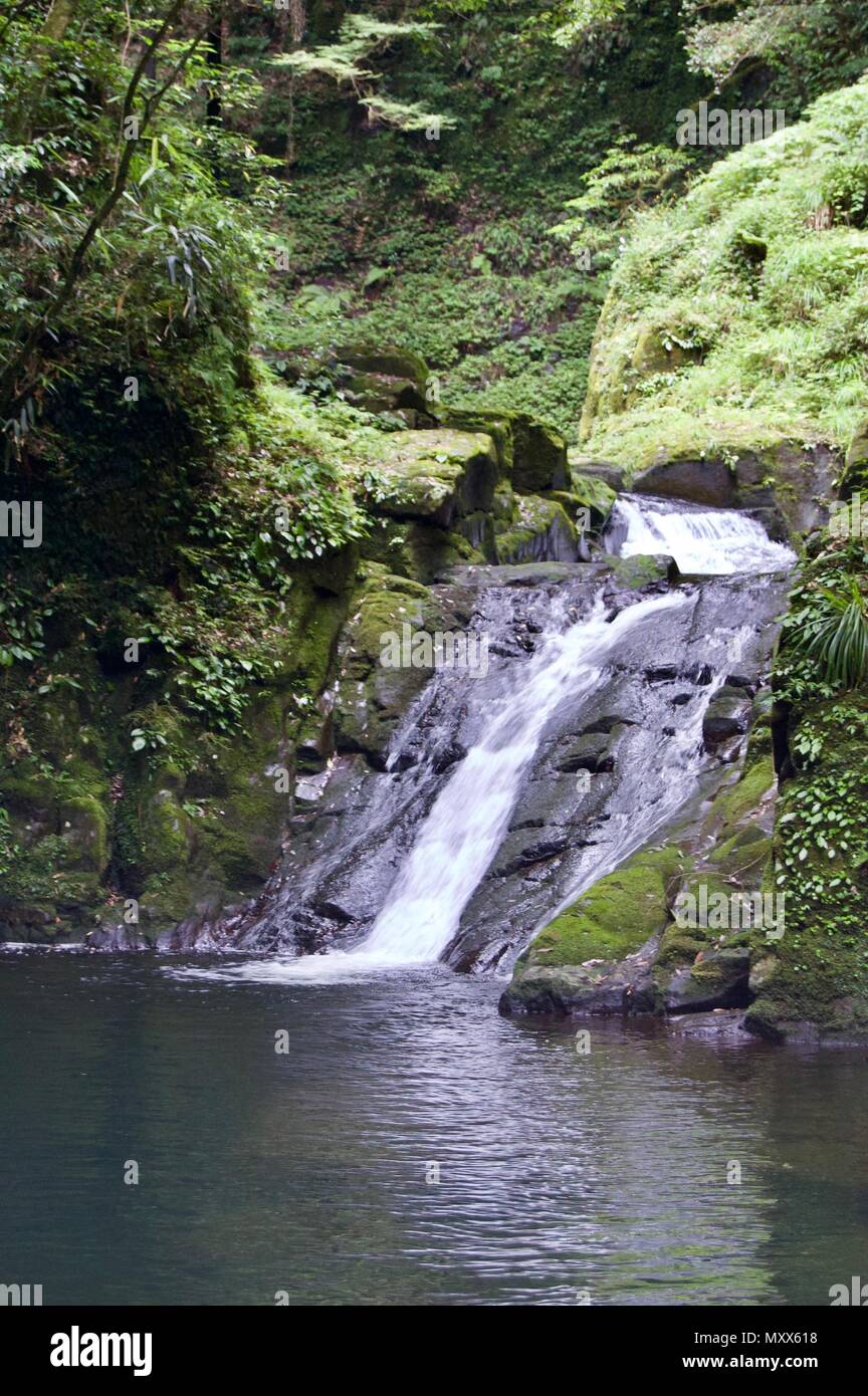 Akame 48 Waterfalls: Mysterious scenery with giant trees & huge moss covered rock formations, untouched nature, lush green vegetation, cascading water Stock Photo