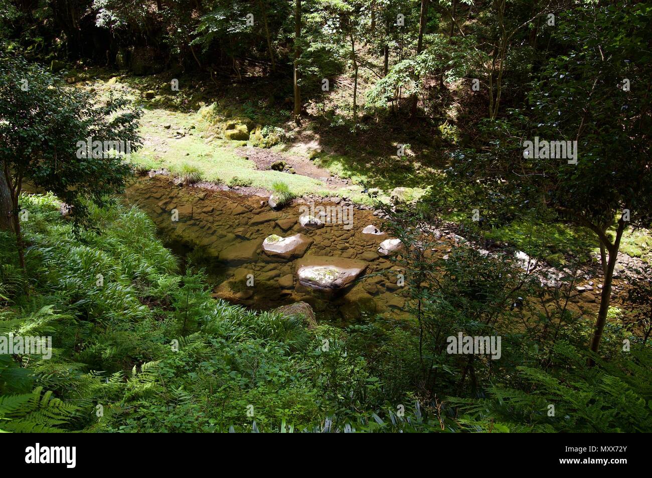 Akame 48 Waterfalls: Mysterious scenery with giant trees & huge moss covered rock formations, untouched nature, lush green vegetation, cascading water Stock Photo