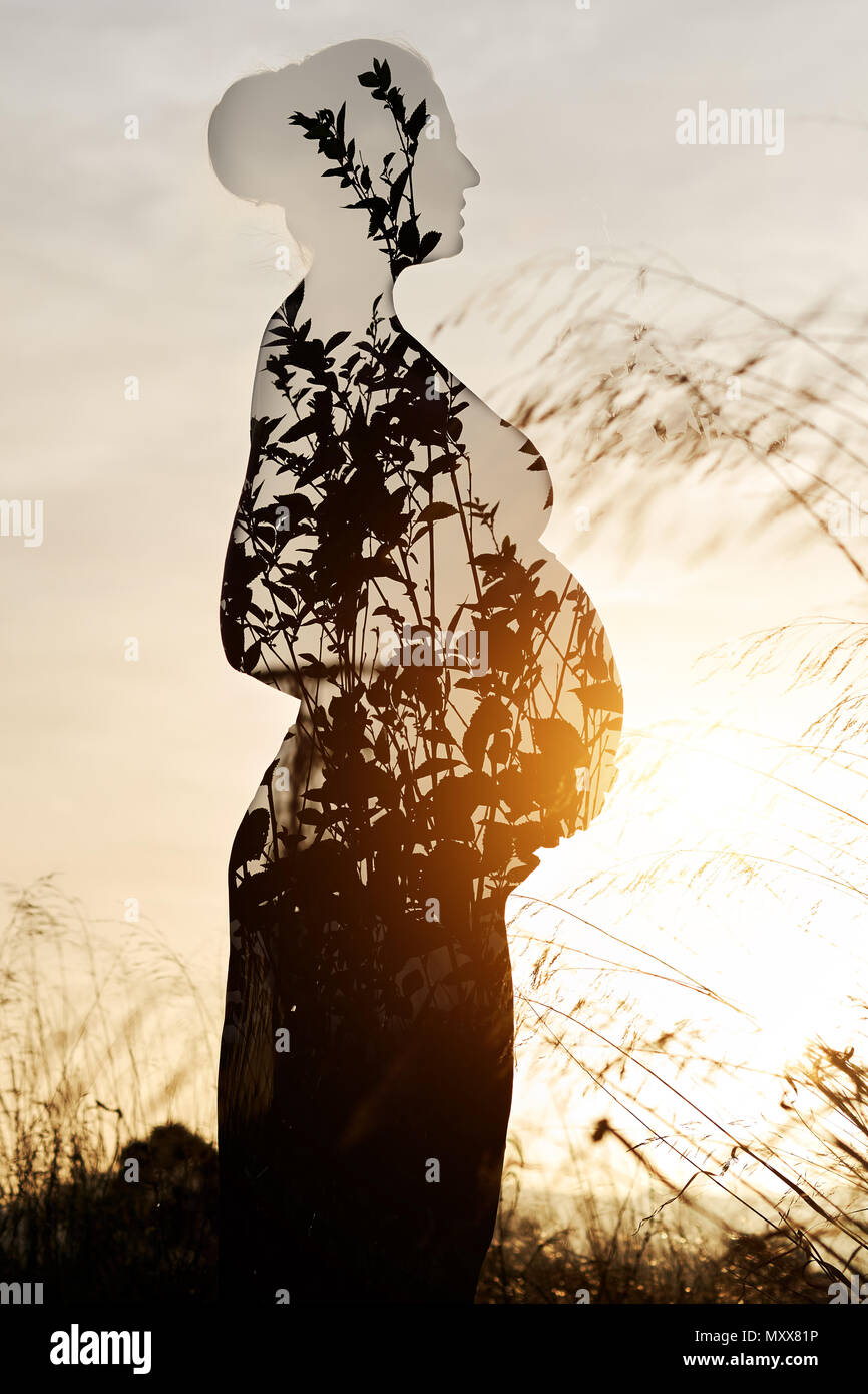 Double exposure. Silhouette of pregnant woman combined with nature