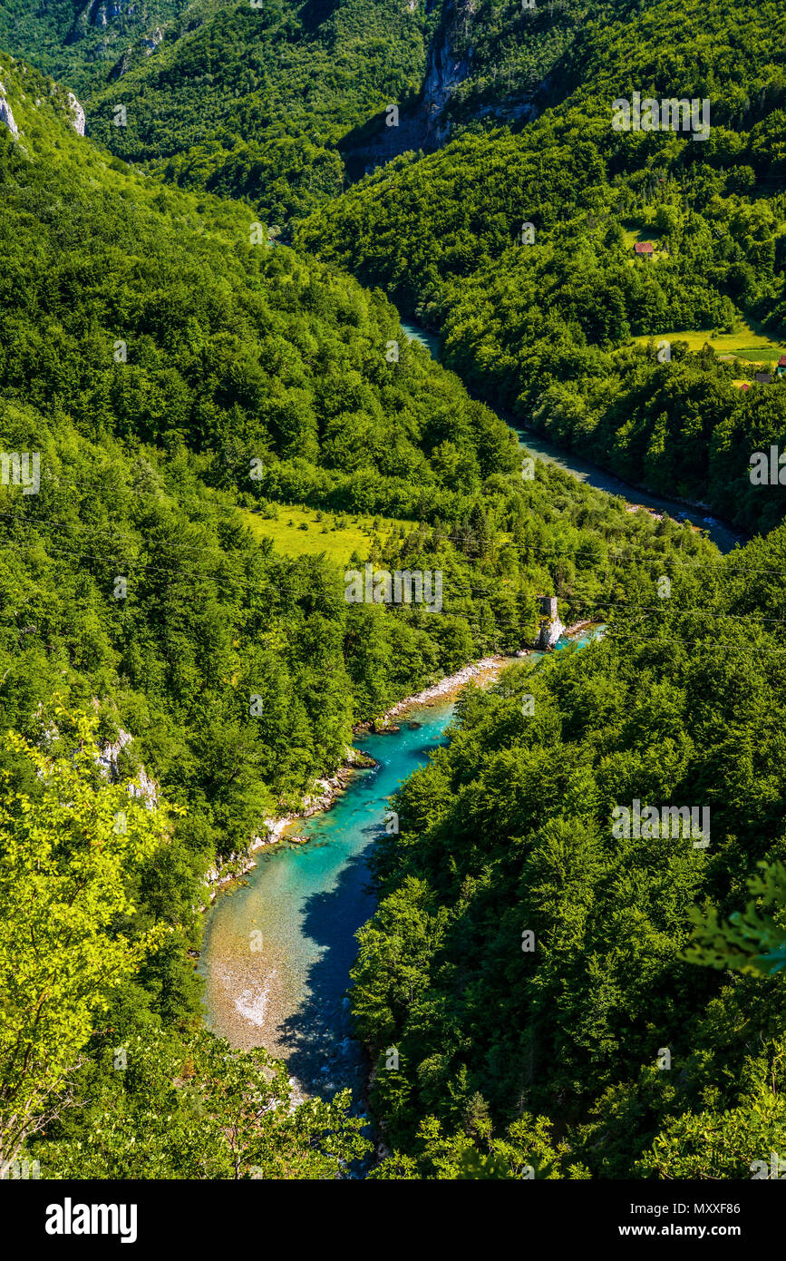 Mountain river Tara and forest in Montenegro. View from Durdevica arc bridge. Stock Photo