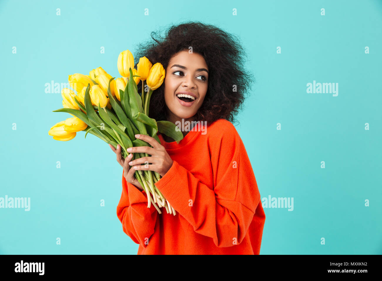 Curly american woman in red clothing looking aside and holding bunch of beautiful yellow tulips isolated over blue background Stock Photo