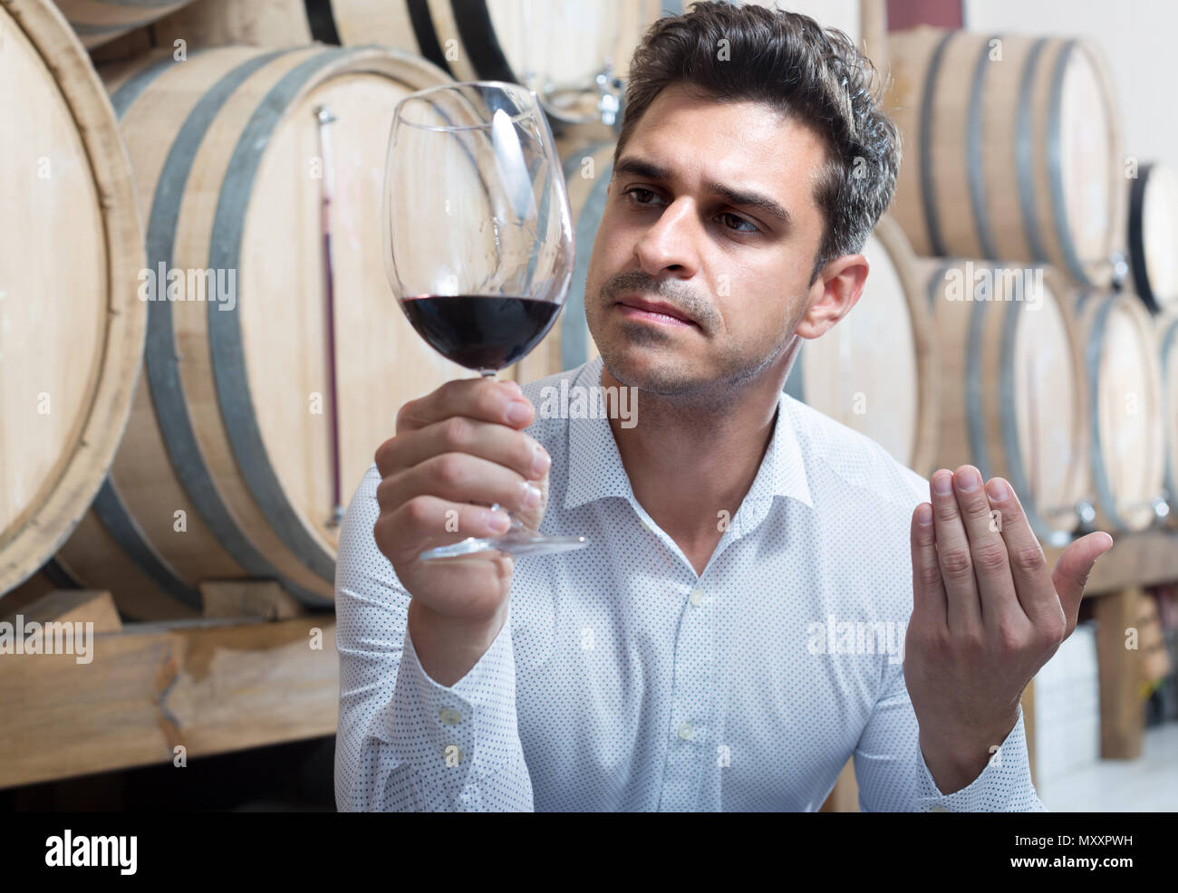 positive adult man having sauvignon tasting in cellar with woods Stock ...