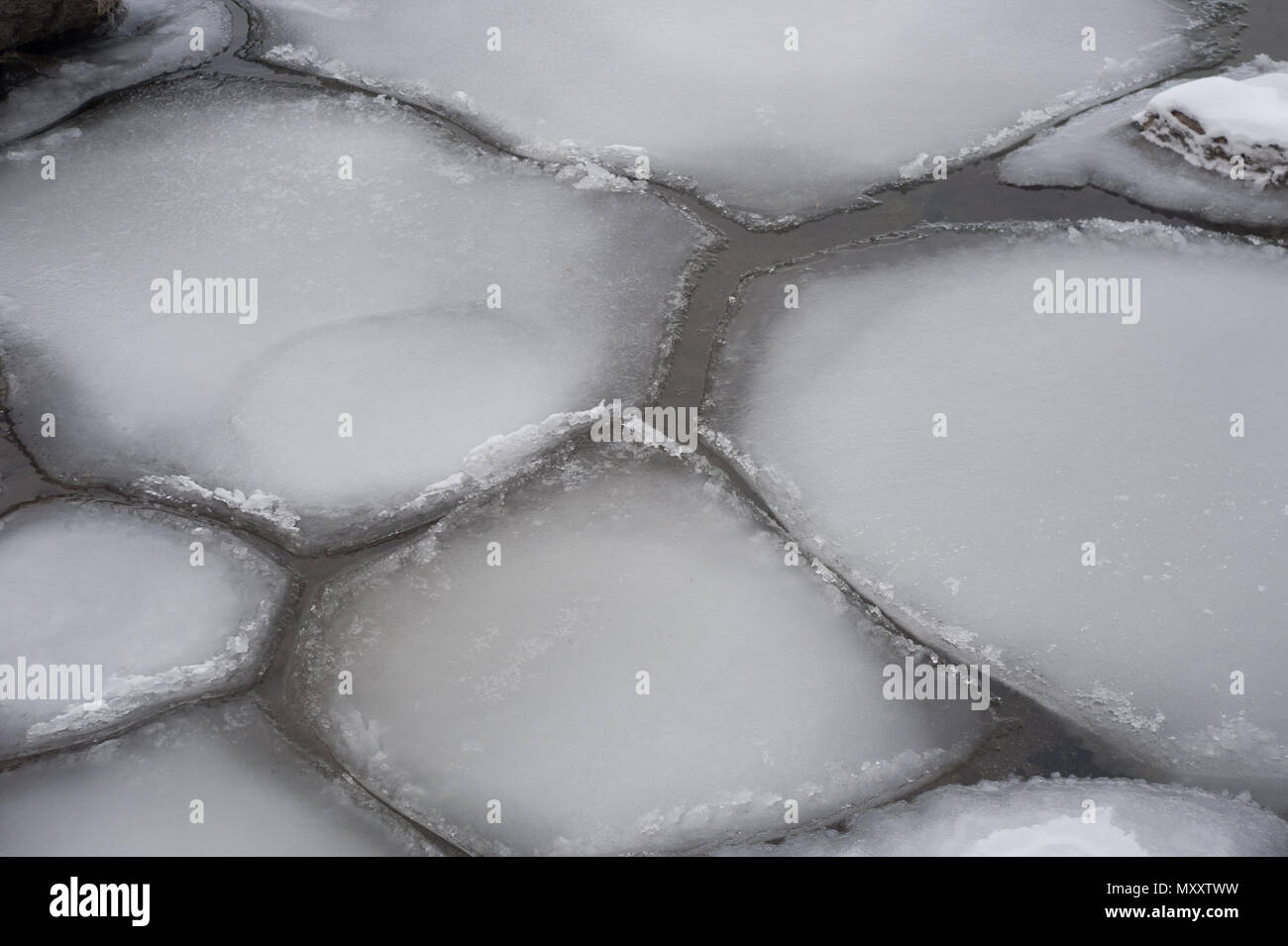 Detail of partly frozen water surface with irregular floating ice floes. Stock Photo