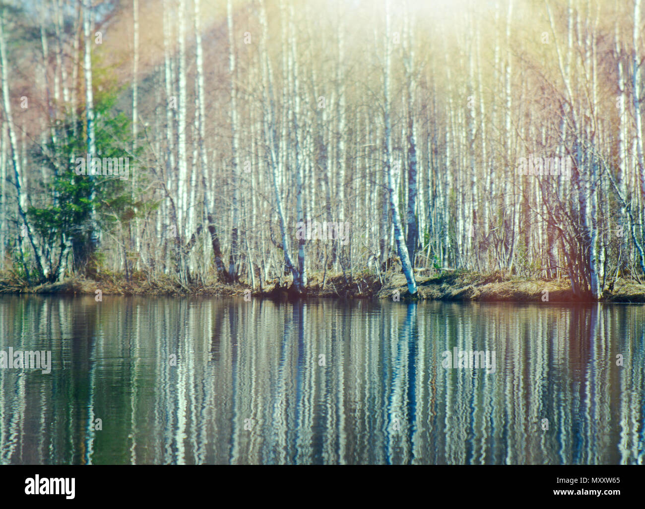 Russian landscape.Spring flooding on the river,Reflection of trees in ...