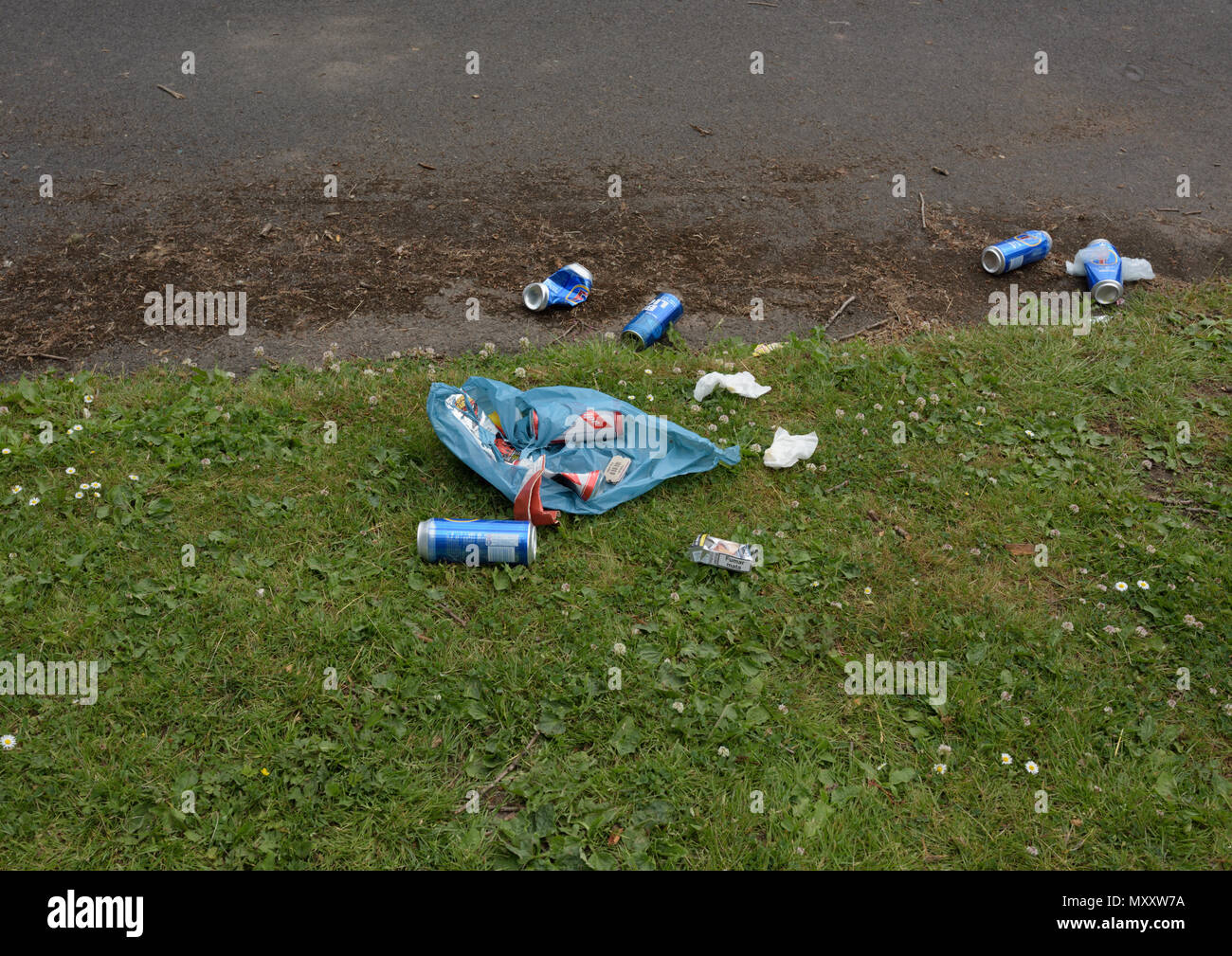 Beer Cans Litter High Resolution Stock Photography and Images Alamy